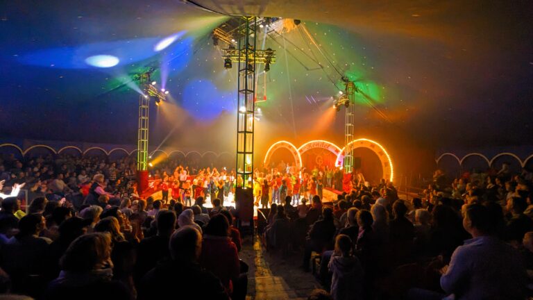 Read more about the article Das große Zirkusfinale