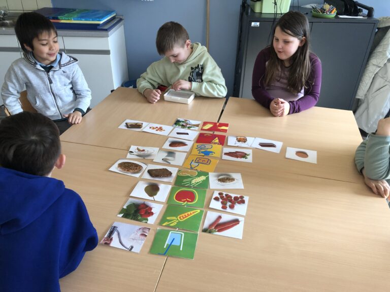 Read more about the article Wir sind: Schule mit Biss – Ernährungsprophylaxe