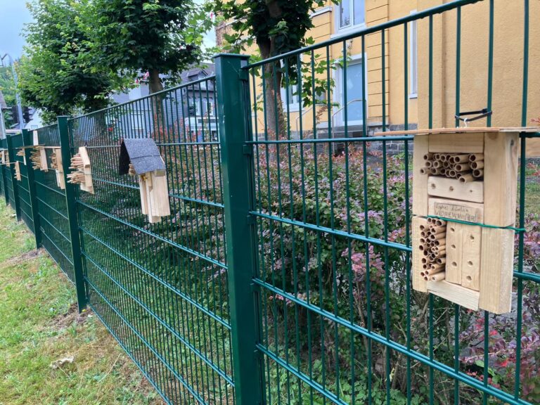 Read more about the article Die Holzwerkstatt berichtet