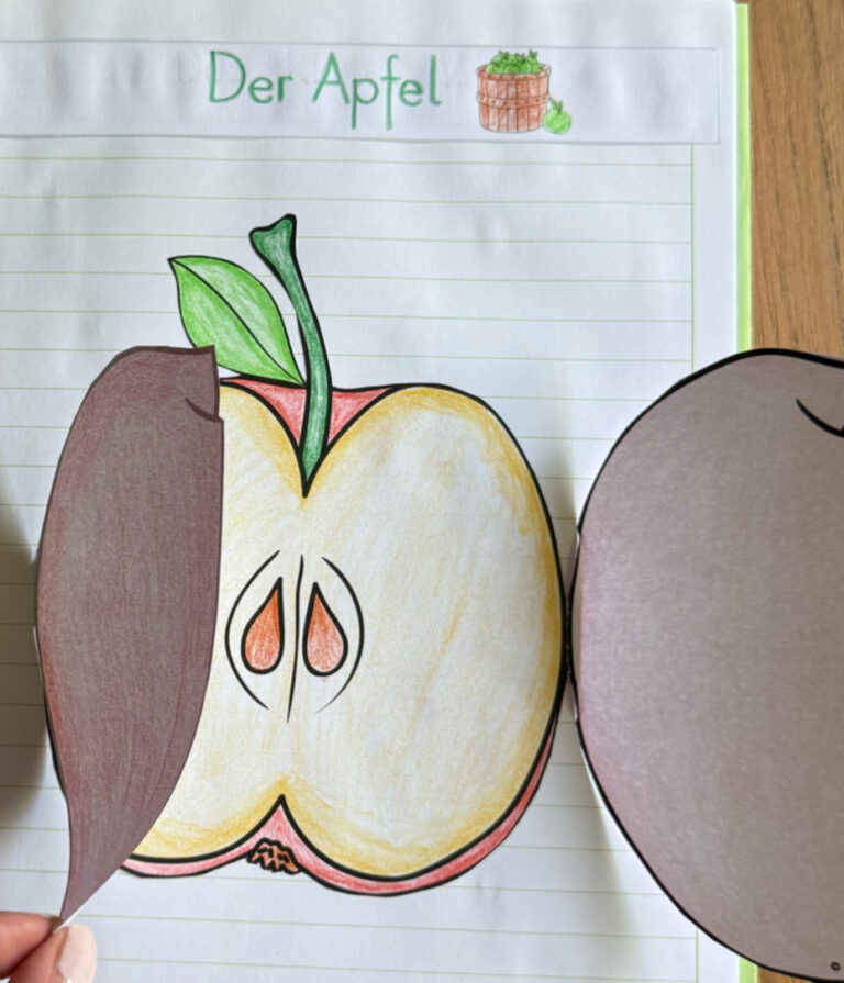 Read more about the article Apfelprojekte der ersten Klassen