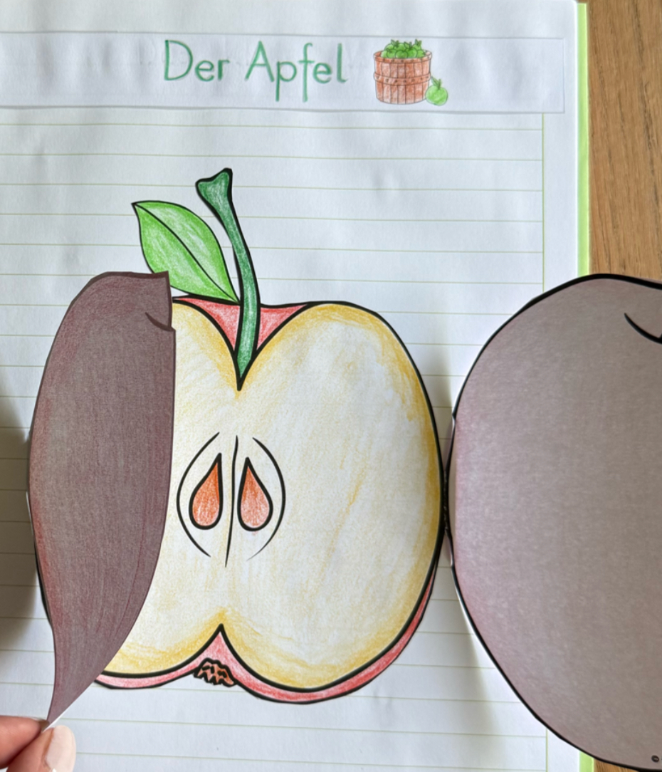 You are currently viewing Apfelprojekte der ersten Klassen